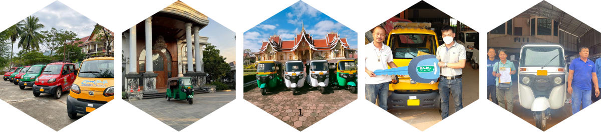 Vipar in Laos